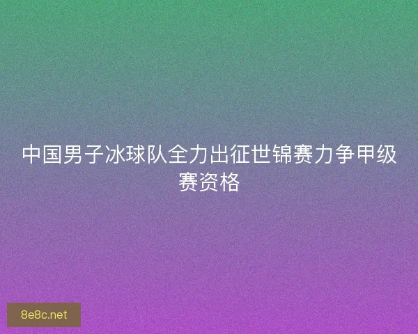 中国男子冰球队全力出征世锦赛力争甲级赛资格