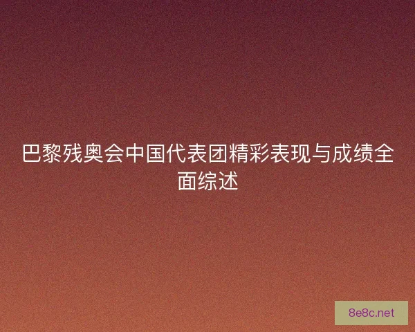 巴黎残奥会中国代表团精彩表现与成绩全面综述