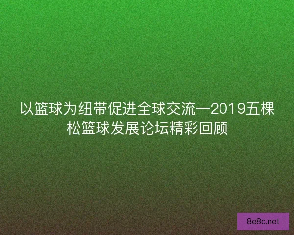 以篮球为纽带促进全球交流—2019五棵松篮球发展论坛精彩回顾