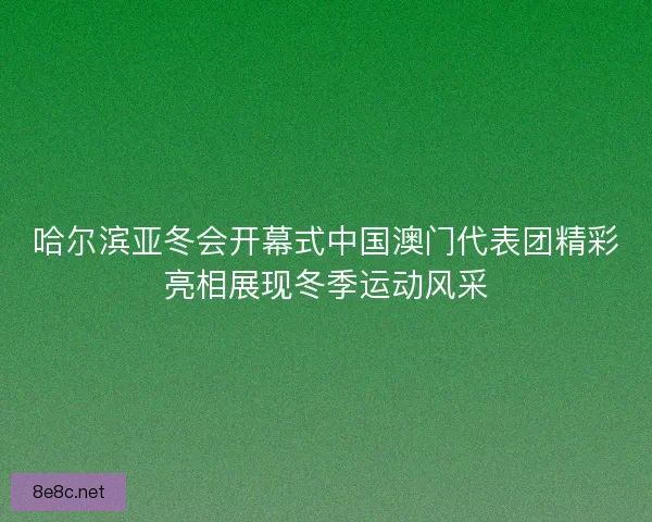 哈尔滨亚冬会开幕式中国澳门代表团精彩亮相展现冬季运动风采