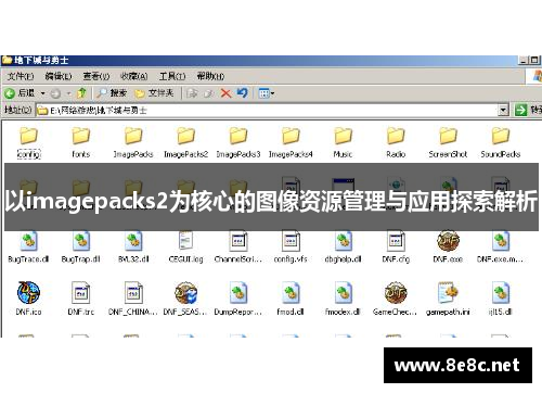 以imagepacks2为核心的图像资源管理与应用探索解析